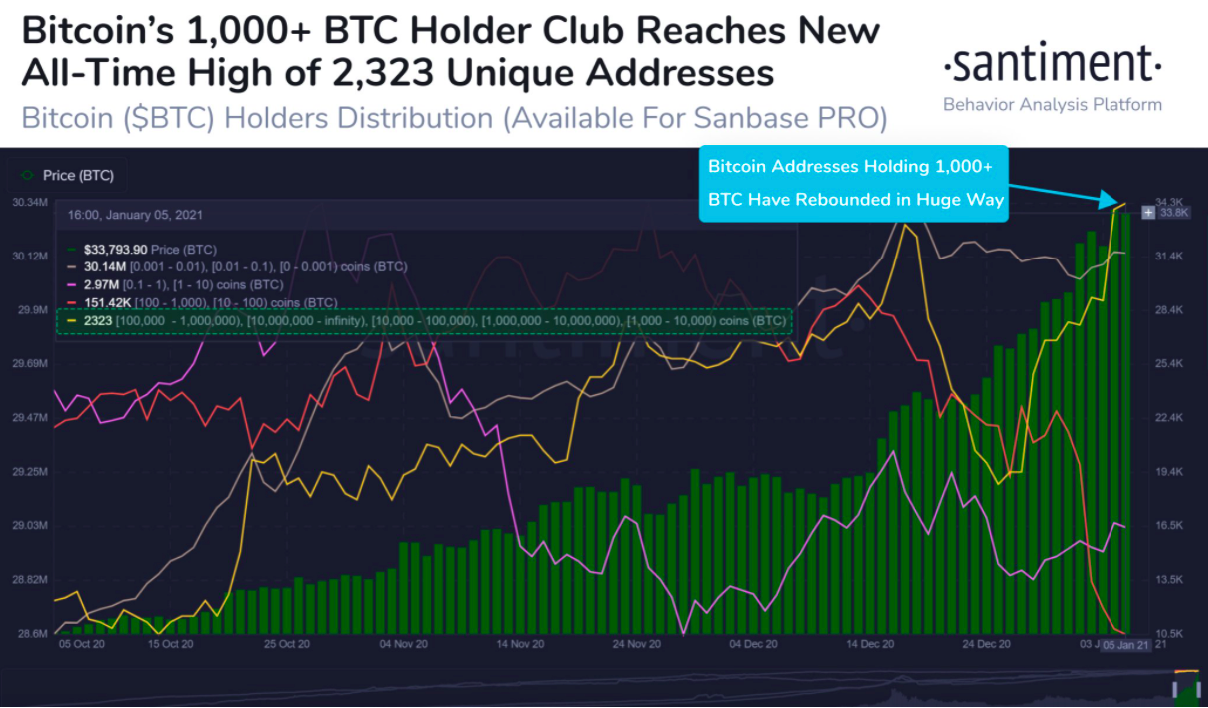 btc / usd संतमत चार्ट 010621